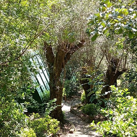 La Francesca Sud Un Villaggio"Glamping" Scario Ngoại thất bức ảnh