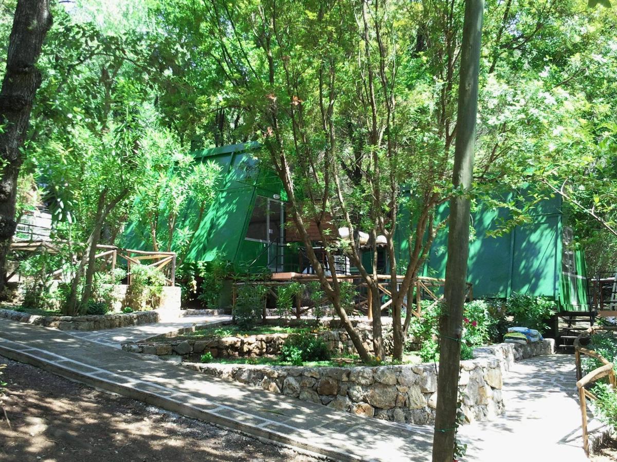 La Francesca Sud Un Villaggio"Glamping" Scario Ngoại thất bức ảnh