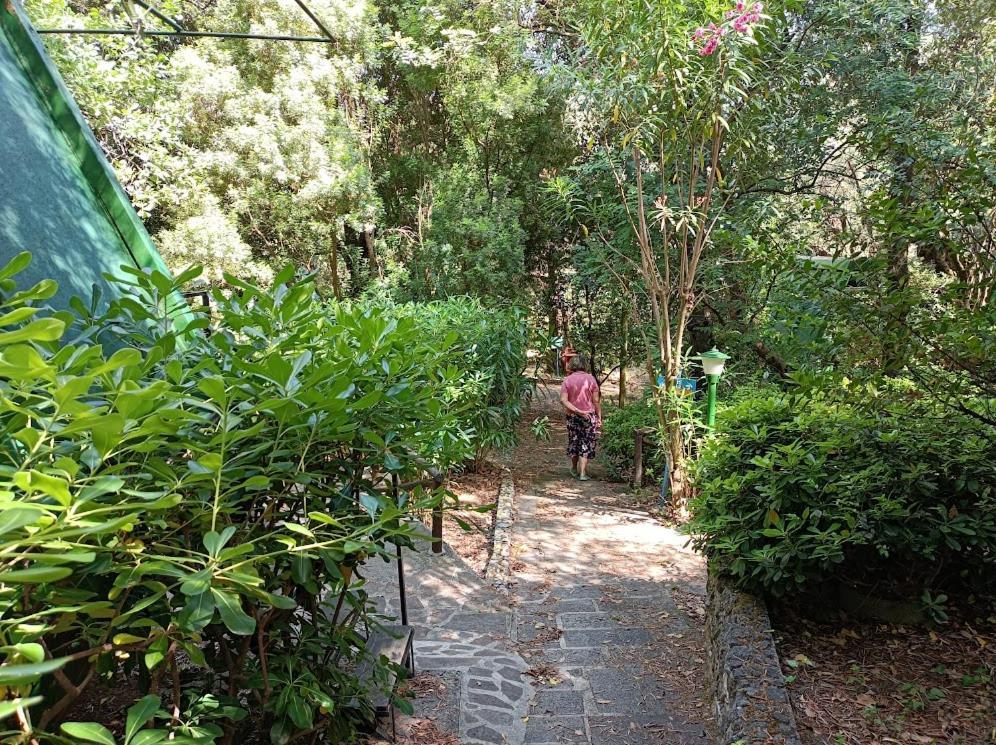 La Francesca Sud Un Villaggio"Glamping" Scario Ngoại thất bức ảnh